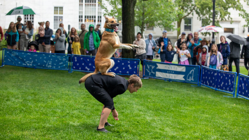 A light skinned woman bends over while an orangey red dog balances on its hind legs on her back while a crowd look on